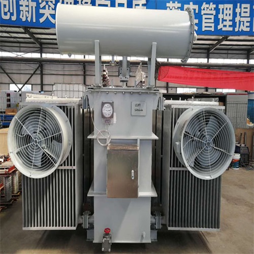 昌都S22-6300KVA非晶合金变压器
